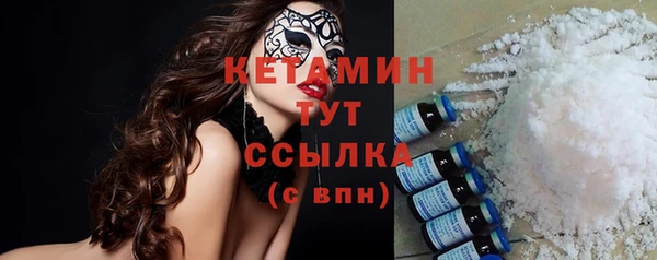 гидра Покачи