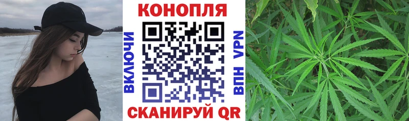 Канабис планчик  где купить наркоту  Райчихинск 